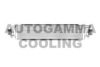 AUTOGAMMA 105336 Intercooler, charger